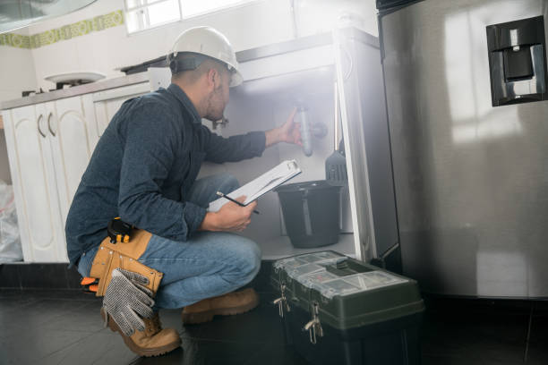 Best Local Plumber Services  in Madelia, MN