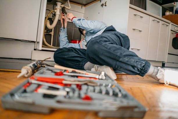 Best Local Plumber Services  in Madelia, MN