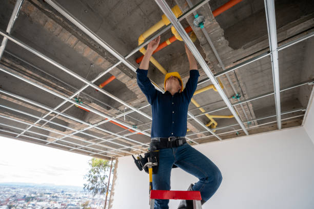 Best Residential Plumbing Services  in Madelia, MN
