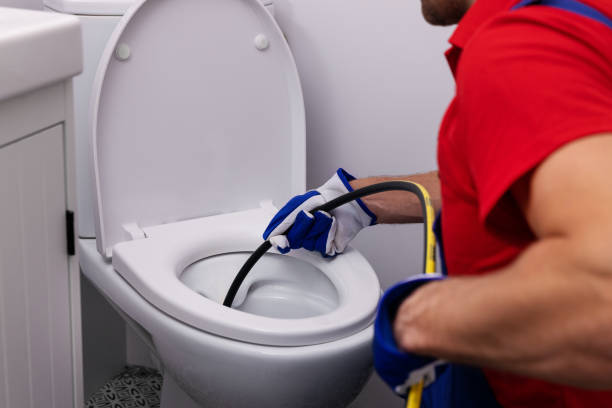 Best Plumbing Services Near Me  in Madelia, MN