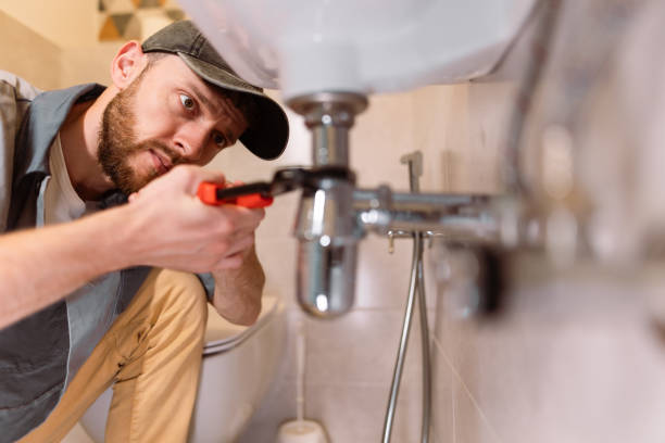 Best 24-Hour Plumber Near Me  in Madelia, MN