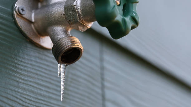 Best Drain Cleaning Services  in Madelia, MN